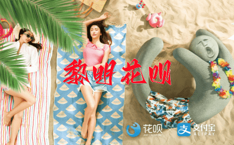眸子里透露着智慧花呗